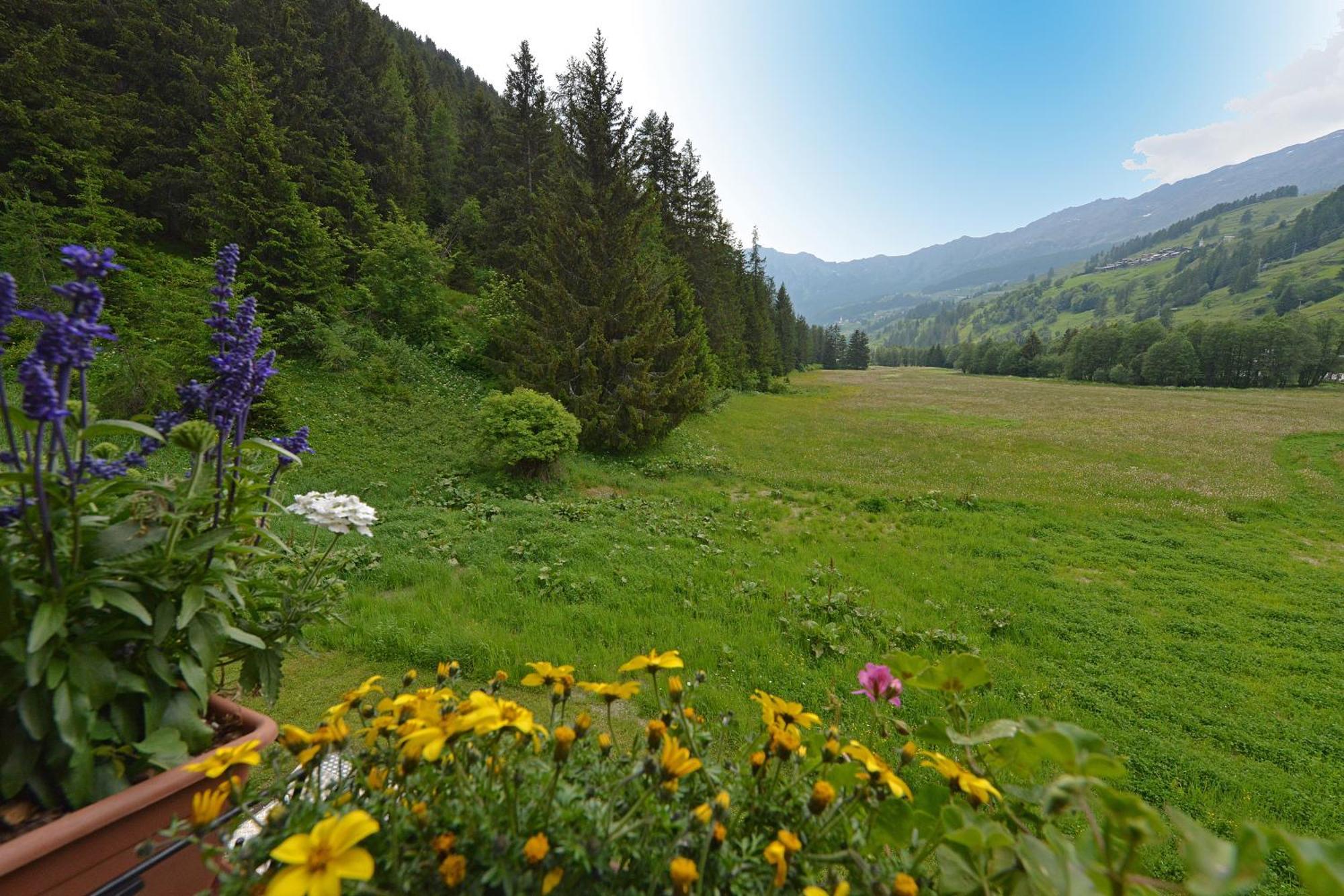 Hotel Le Petit Abri Champoluc Exterior photo