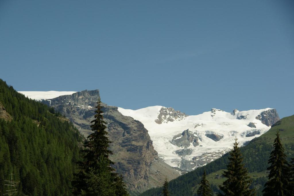 Hotel Le Petit Abri Champoluc Exterior photo