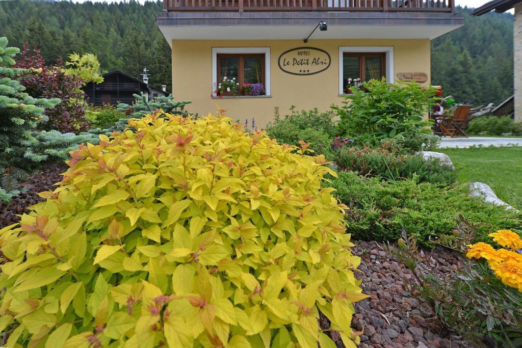Hotel Le Petit Abri Champoluc Exterior photo